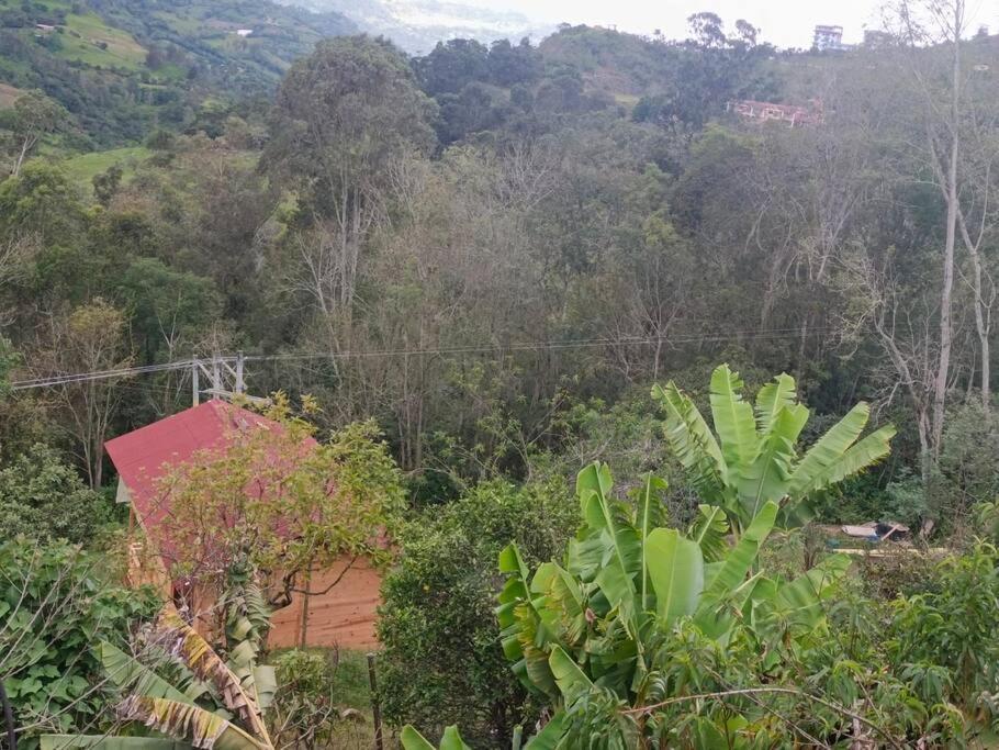 Villa Ecocabanas - De Lujo Con Jacuzzi Privado Cerca A Termales *